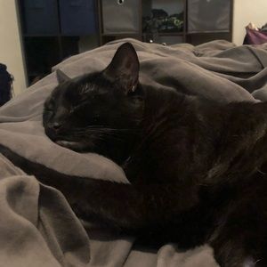 Meet your Posher, Megan